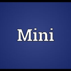 Mini definition