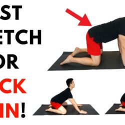 Exercises pain back spine stabilizing therapy physical reduce these stabilization help do physio relief lower stretches low injury points infographic