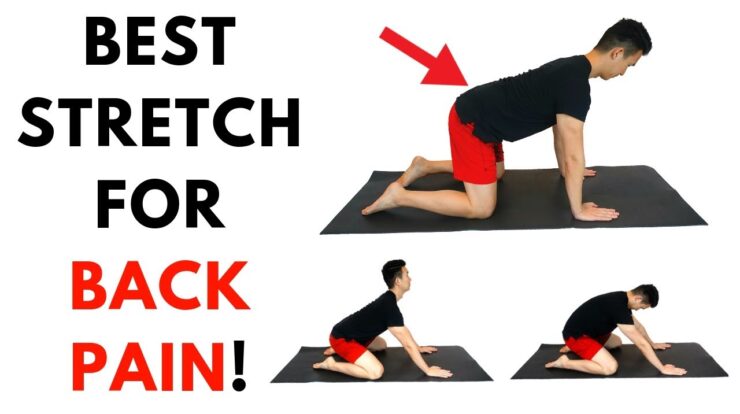 Exercises pain back spine stabilizing therapy physical reduce these stabilization help do physio relief lower stretches low injury points infographic